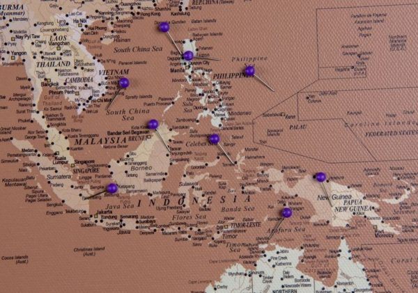 detalus-pasaulio-žemėlapis-su-smeigtukais-smelinis-rudas-16P