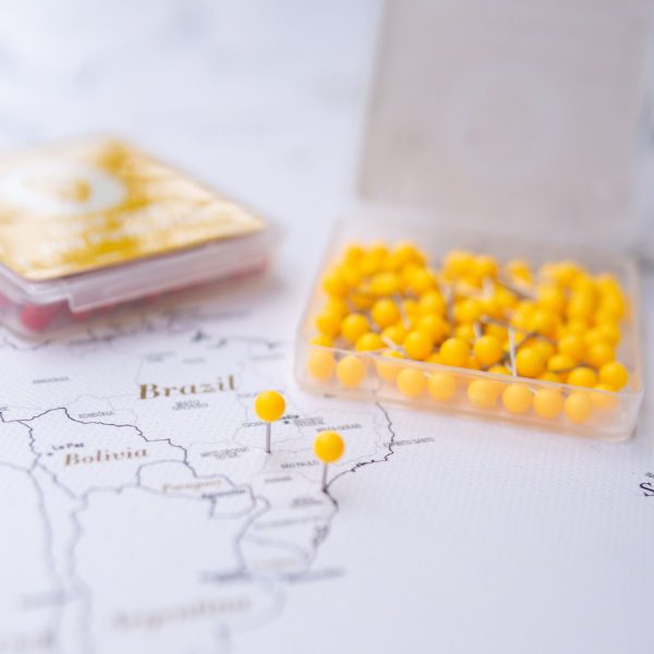 orange color small pins to track travels