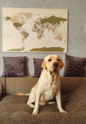 world-map-pinboard-best-travel-gift